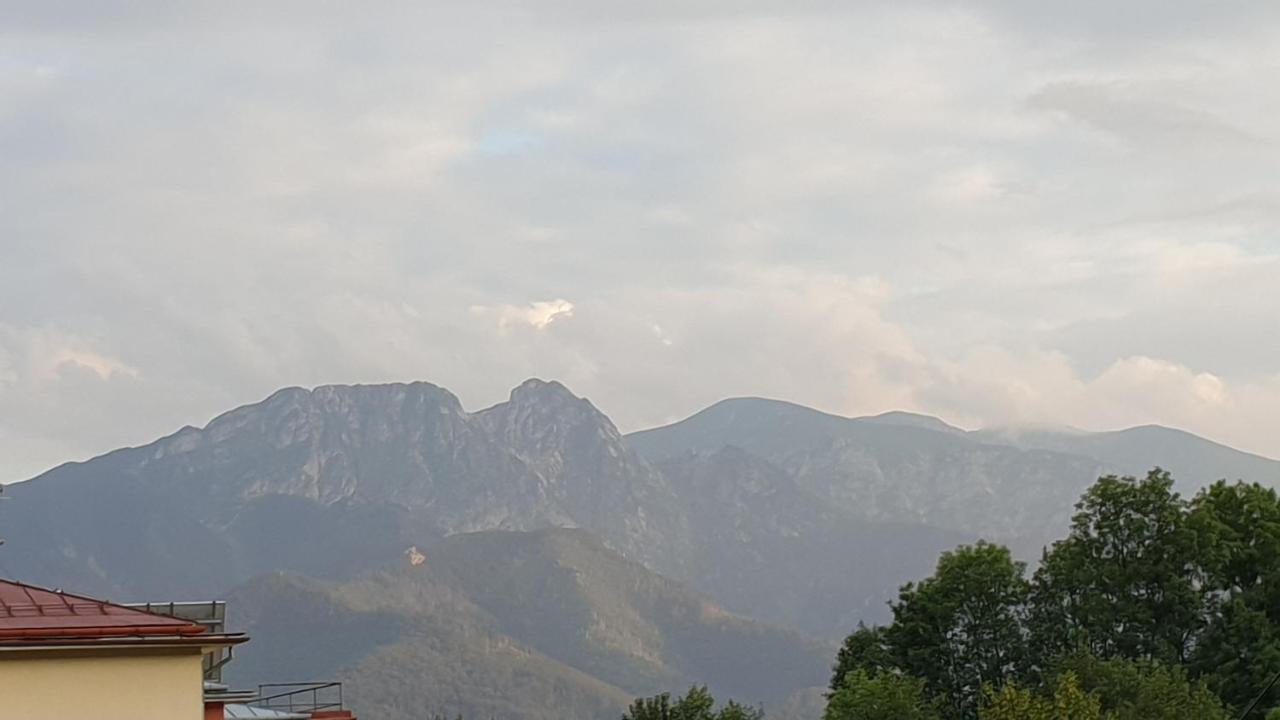 Villa Fortuna - Regionalne Apartamenty & Spa - Sauna, Grill, Jacuzzi Z Widokiem Na Tatry زاكوباني المظهر الخارجي الصورة