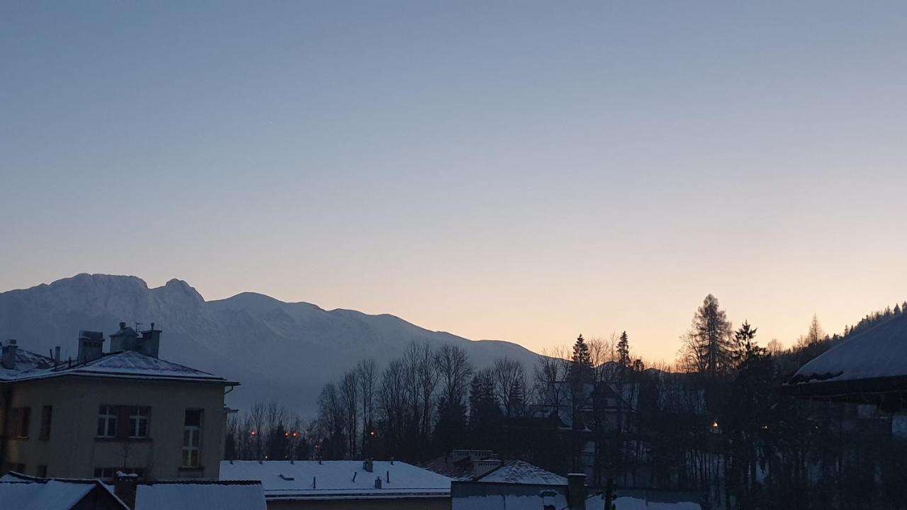 Villa Fortuna - Regionalne Apartamenty & Spa - Sauna, Grill, Jacuzzi Z Widokiem Na Tatry زاكوباني المظهر الخارجي الصورة