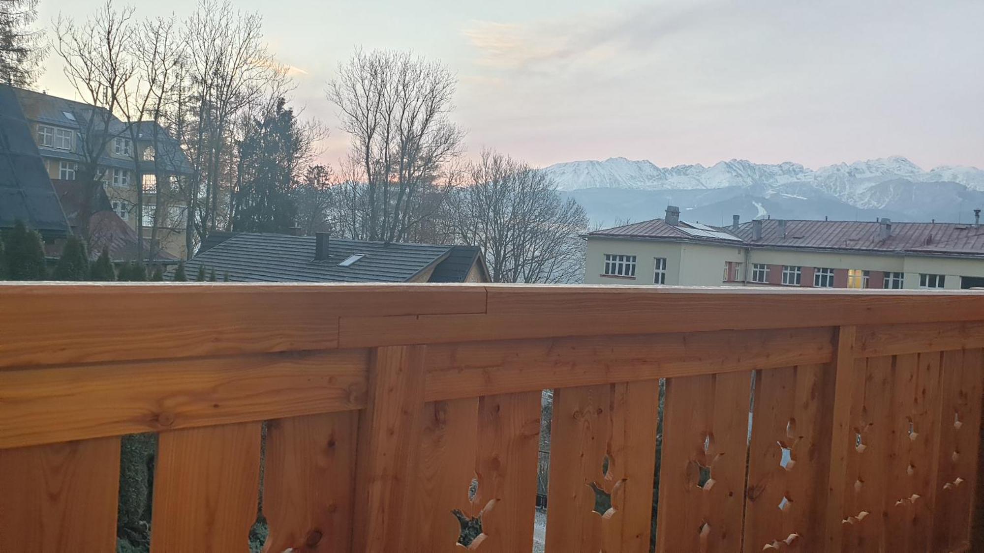Villa Fortuna - Regionalne Apartamenty & Spa - Sauna, Grill, Jacuzzi Z Widokiem Na Tatry زاكوباني الغرفة الصورة
