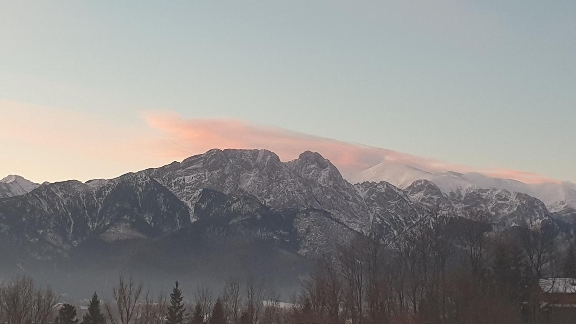 Villa Fortuna - Regionalne Apartamenty & Spa - Sauna, Grill, Jacuzzi Z Widokiem Na Tatry زاكوباني الغرفة الصورة