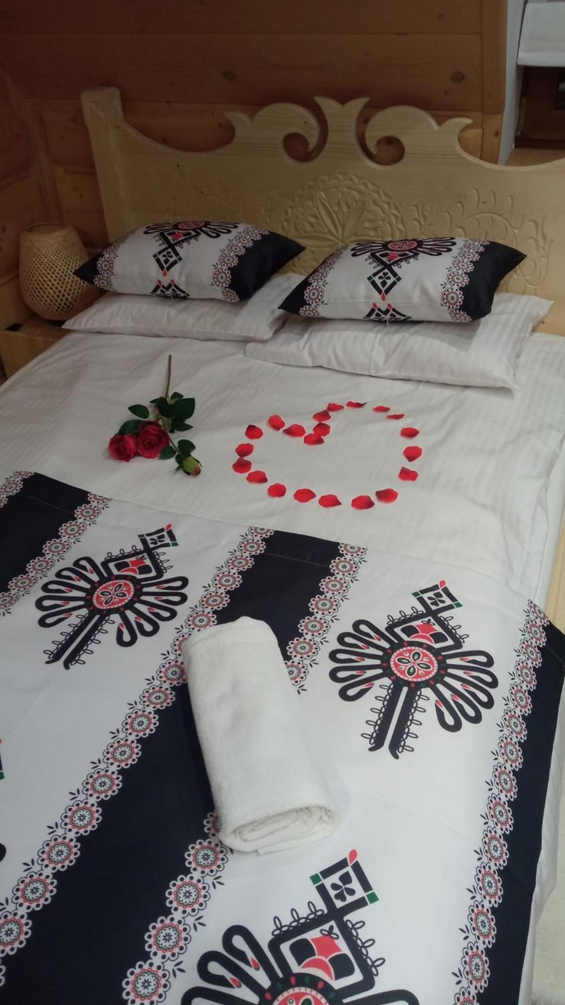 Villa Fortuna - Regionalne Apartamenty & Spa - Sauna, Grill, Jacuzzi Z Widokiem Na Tatry زاكوباني الغرفة الصورة